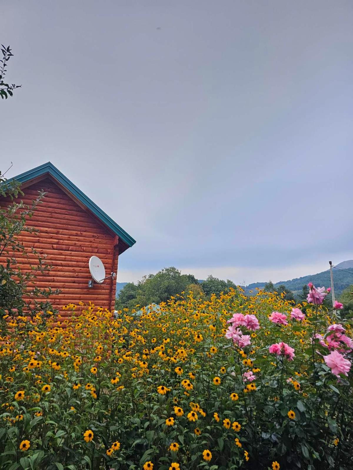 Konaci Oceva Zemlja Vikendica I Mojkovac