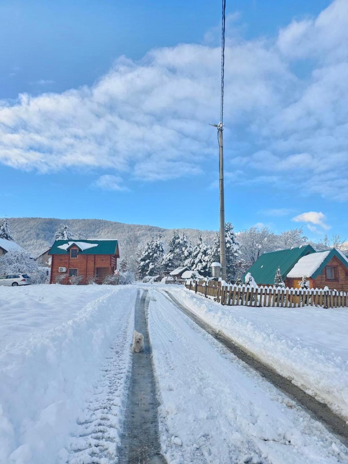 Konaci Oceva Zemlja Vikendica I Kamp alanı
