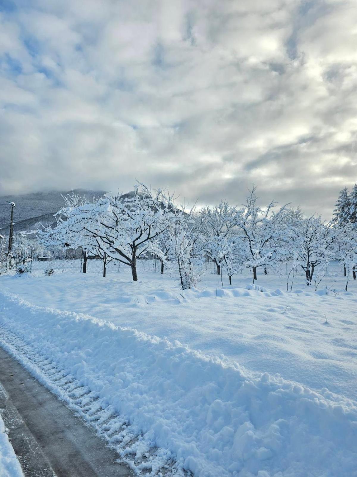 Konaci Oceva Zemlja Vikendica I Kamp alanı Mojkovac