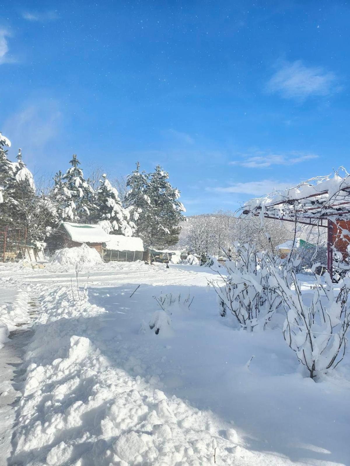 Konaci Oceva Zemlja Vikendica I * Mojkovac